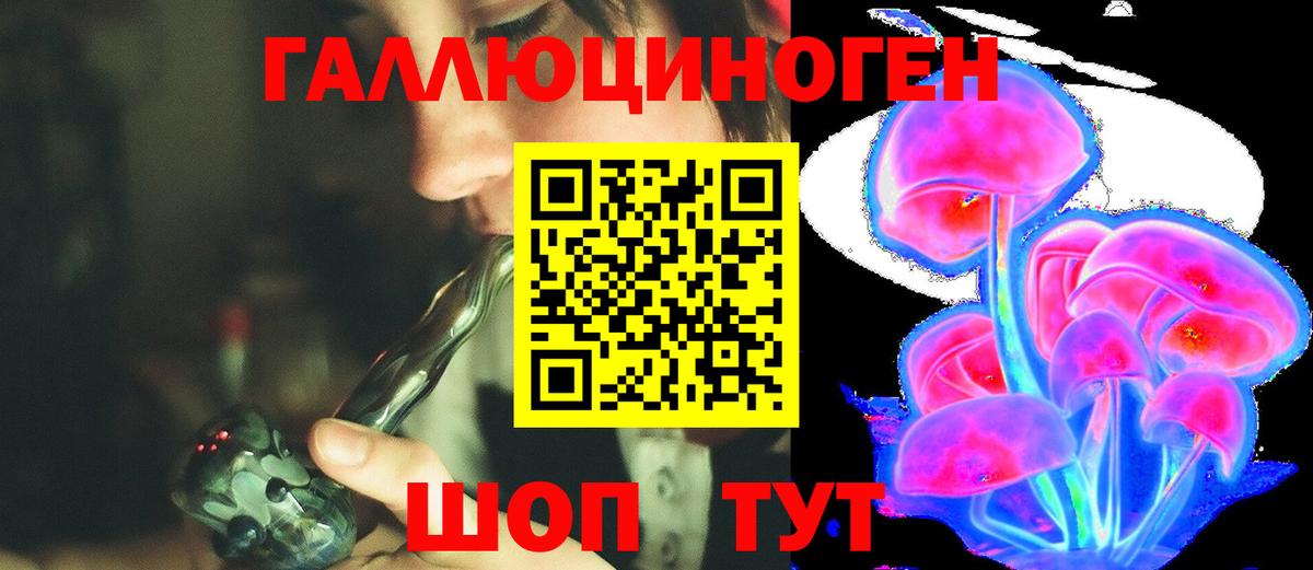 Ликино-Дулёво  Псилоцибиновые грибы Psilocybe  Вход с VPN 
